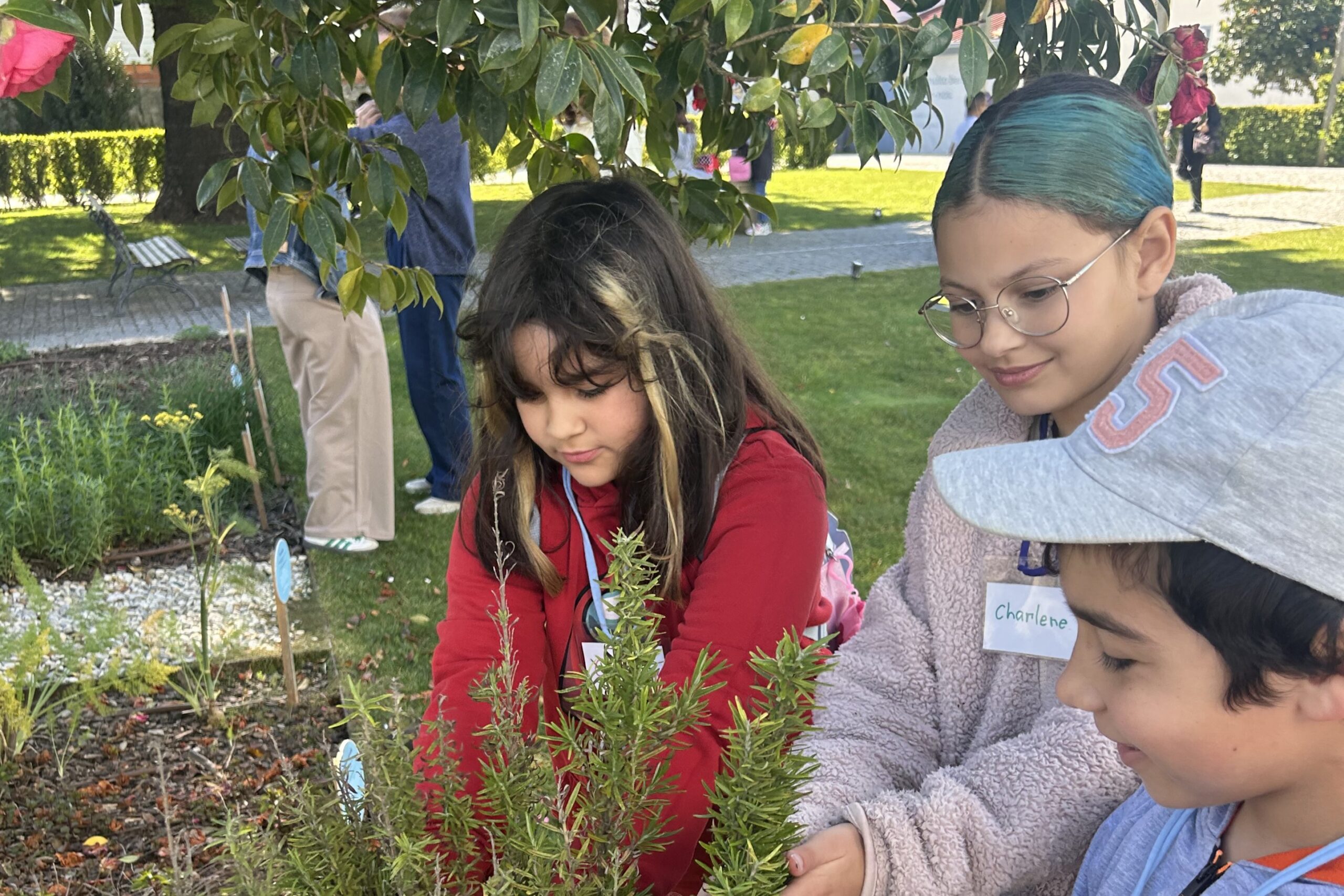 NUTRIR – Quinta do Picado