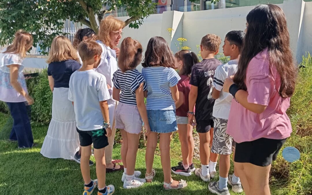 Turma do 3.º ano da Esc. Básica do Bom Sucesso no Skope para a atividade “Das Plantas ao Remédio”